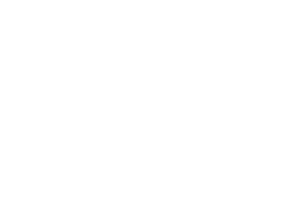 Black Princess - logo
