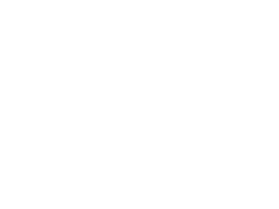 Cacildis - logo