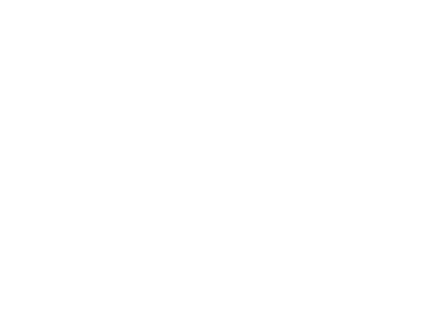 Nina - logo