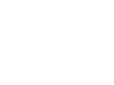 Petra - logo