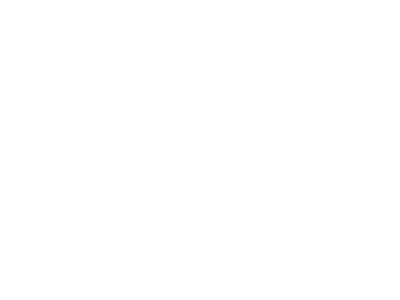 Sebrae - logo