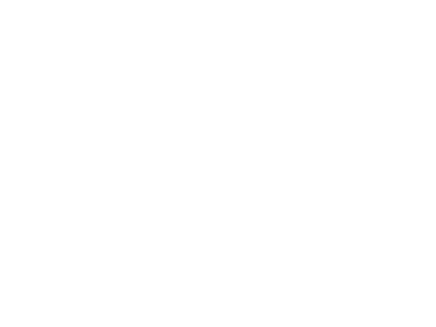 Prezunic - logo