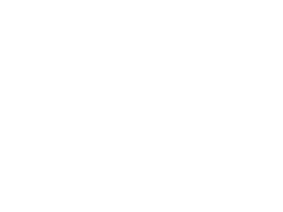 Petro BR - logo