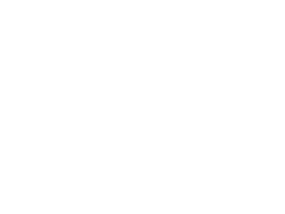 Shakira - logo