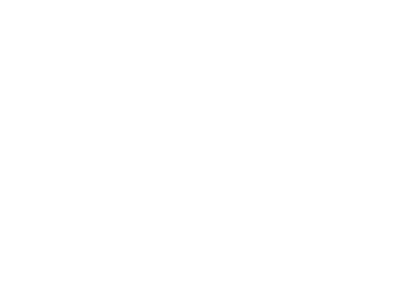 TNT - logo